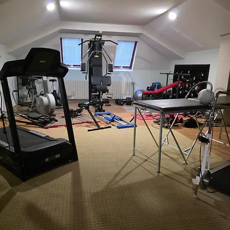 Zuta Kuca Lejlighed Svilajnac